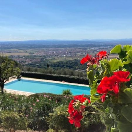 Agriturismo Cima Alla Serra Buti Exterior foto