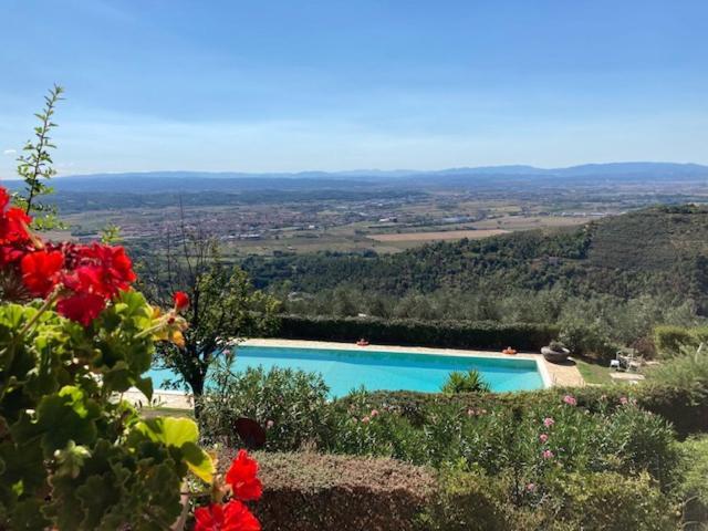 Agriturismo Cima Alla Serra Buti Exterior foto